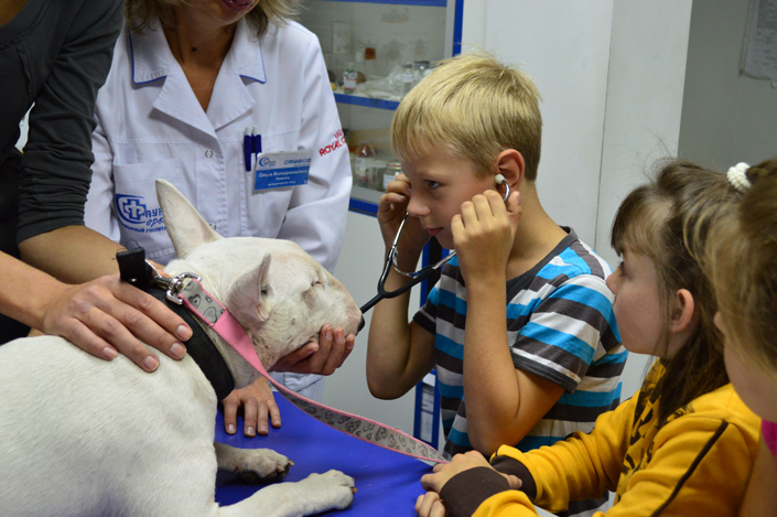 детсткие экскурсии в ветеринарный госпиталь