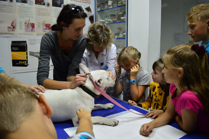 детские экскурсии в ветеринарном госпитале