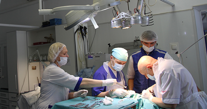 лучшие ветеринарные хирурги в украине