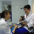 Ветеринарный госпиталь Фауна Сервис - 122